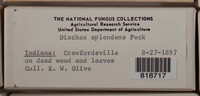 Image Associated With the Occurence